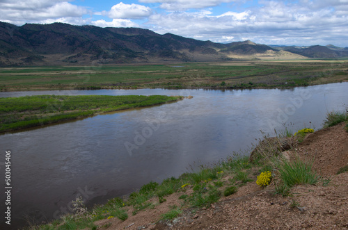 Steep river bank with flowers and greenery. From the shore you can see the river and the mountains on the opposite bank.