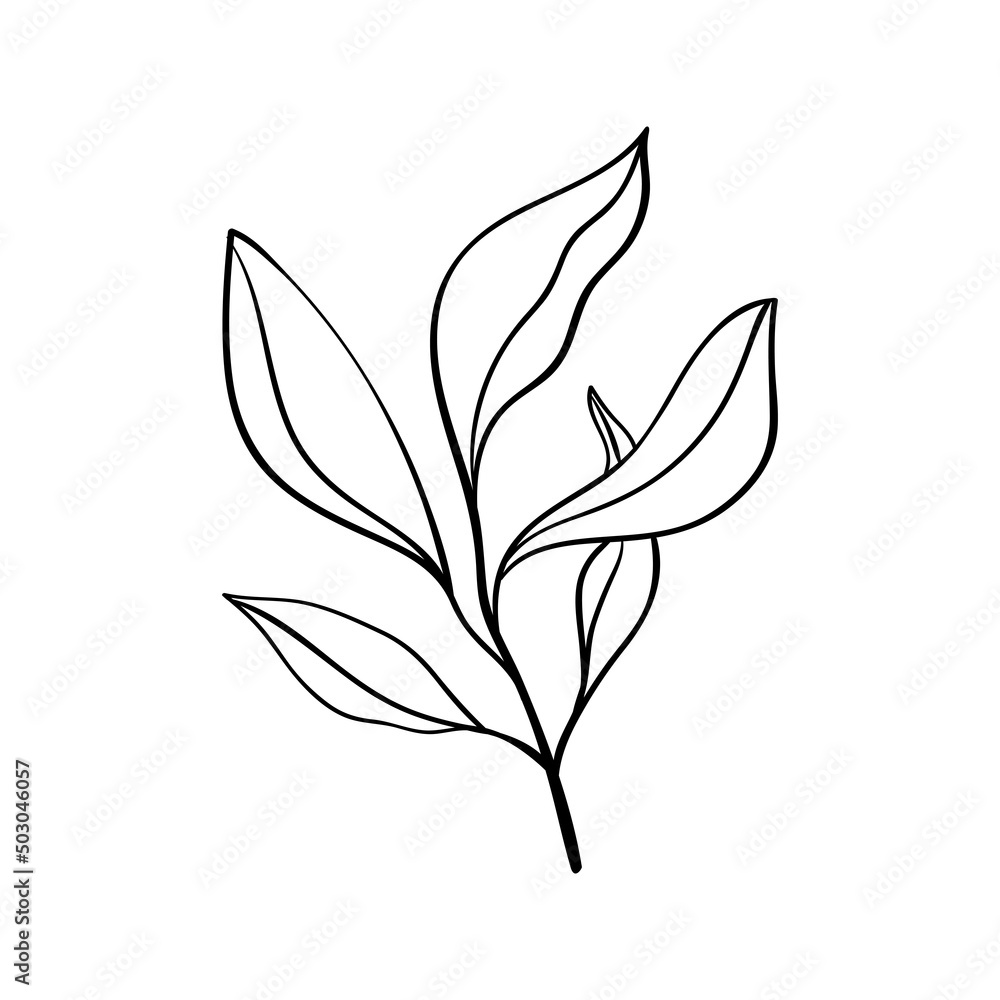 Herbs and forest plants. Sprig with five leaves, simple botanical pattern for cards and invitations Herbs and forest plants. Sprig with five leaves, simple botanical pattern for cards and invitations