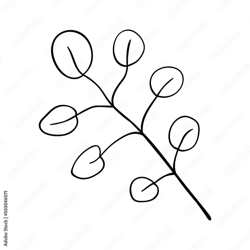 Herbs and forest plants. Twig large with round leaves, simple botanical silhouette drawing for cards and invitations