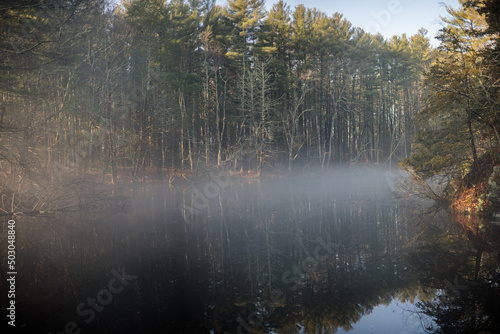 morning fog covering a small pond in a forest