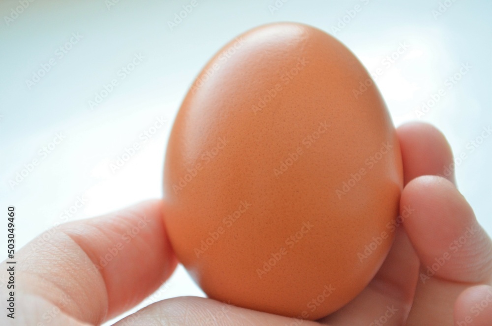 Hand holding brown egg isolated Hand holding brown egg isolated
