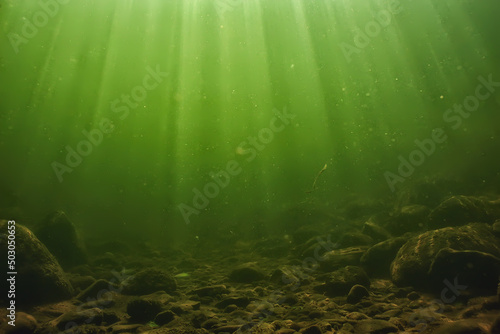 underwater fresh water green background with sun rays under, water photo