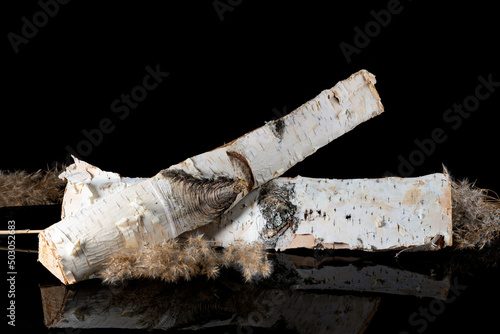 two log on black glass background with winter grass, deadwood with reflection, low key, side view.
