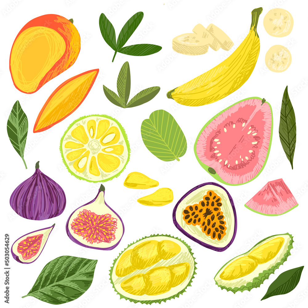 Set of exotic fruits, mango banana jackfruit guava Set of exotic fruits, mango banana jackfruit guava