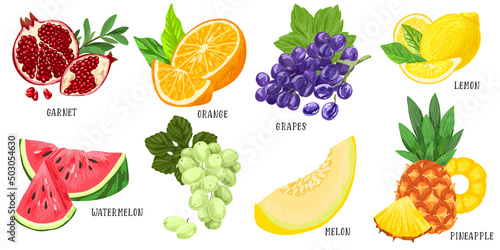 Set of summer fruits with grapes melon