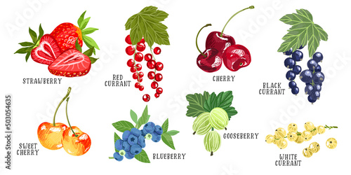 Set of garden berries, red black ang gold currant