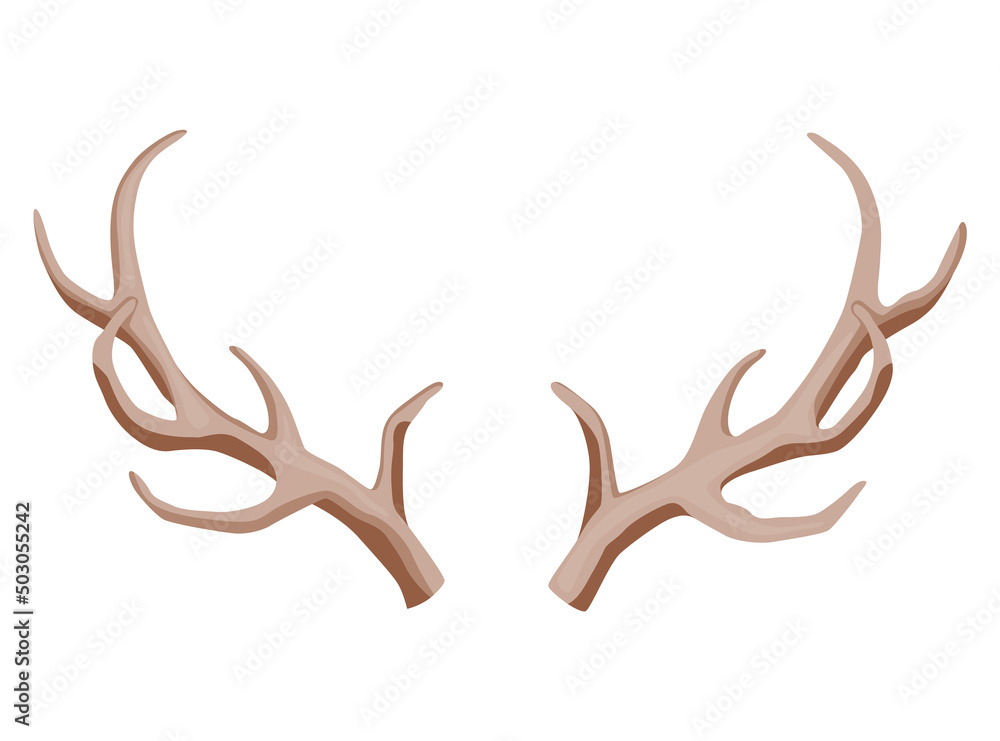 Horns. Hunting trophy. Vector horned wild animal. Pairs of antlers. Vector illustration of hunted animal, wildlife decoration concept Horns. Hunting trophy. Vector horned wild animal. Pairs of antlers. Vector illustration of hunted animal, wildlife decoration concept