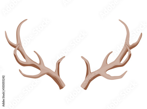 Horns. Hunting trophy. Vector horned wild animal. Pairs of antlers. Vector illustration of hunted animal, wildlife decoration concept