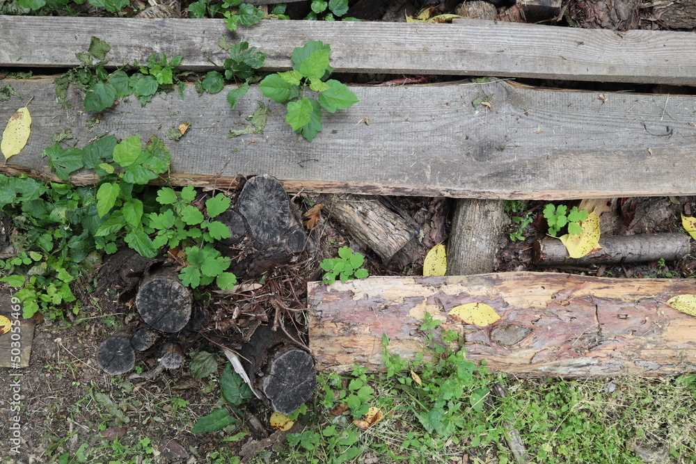 boards in the grass