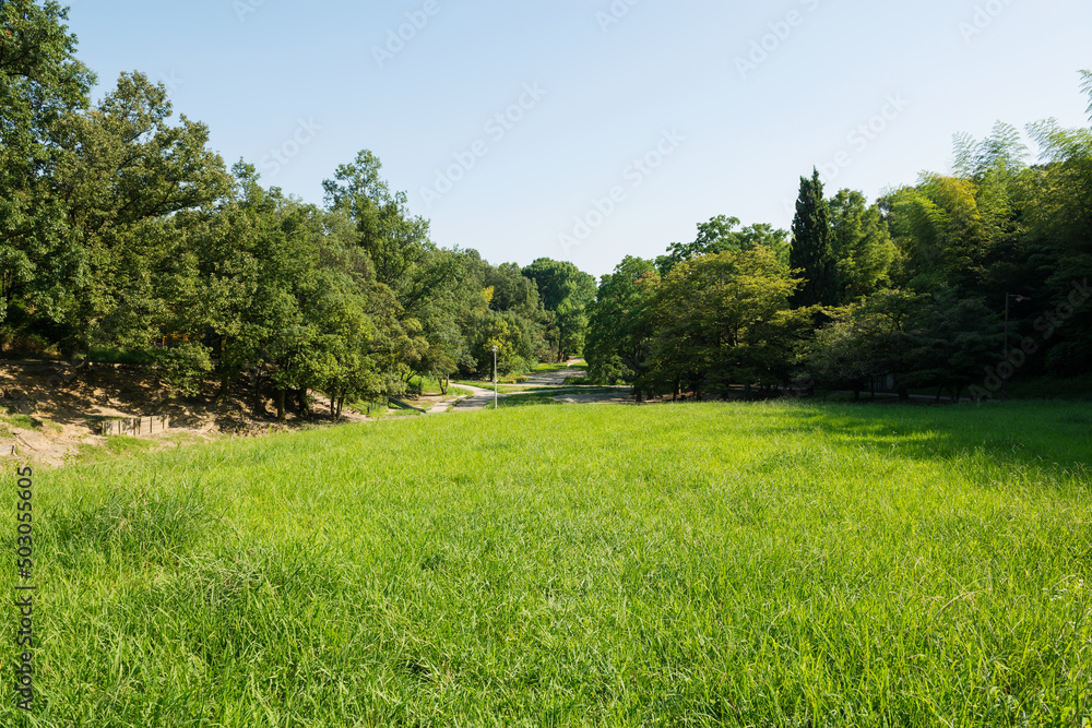 Obraz premium 千里中央公園