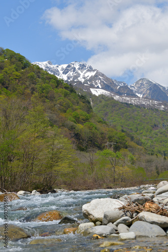 Fototapeta Naklejka Na Ścianę i Meble -  湯檜曽川と谷川岳
