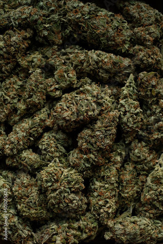 Marijuana cbd buds close-up. Medicinal cannabis flowering background. Weed blooms pattern. Harvest time, city growing concept.