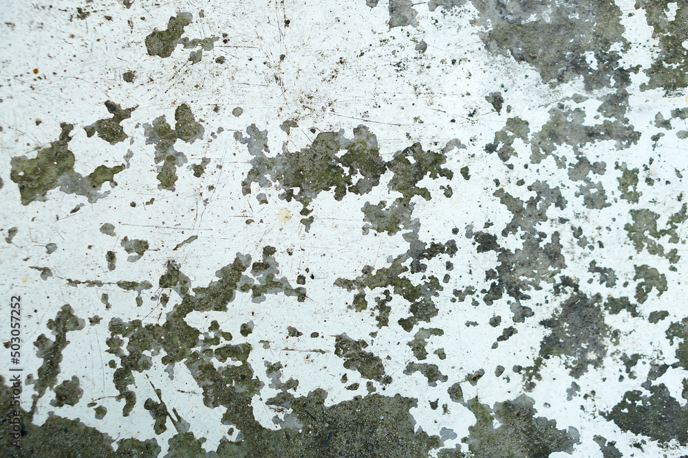 Obraz premium Light color abstract marble texture. Stone cement wall texture background..
