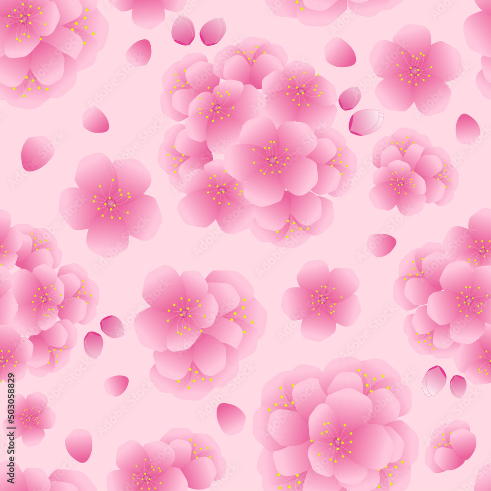 seamless pattern of cherry blossoms in pink color seamless pattern of cherry blossoms in pink color