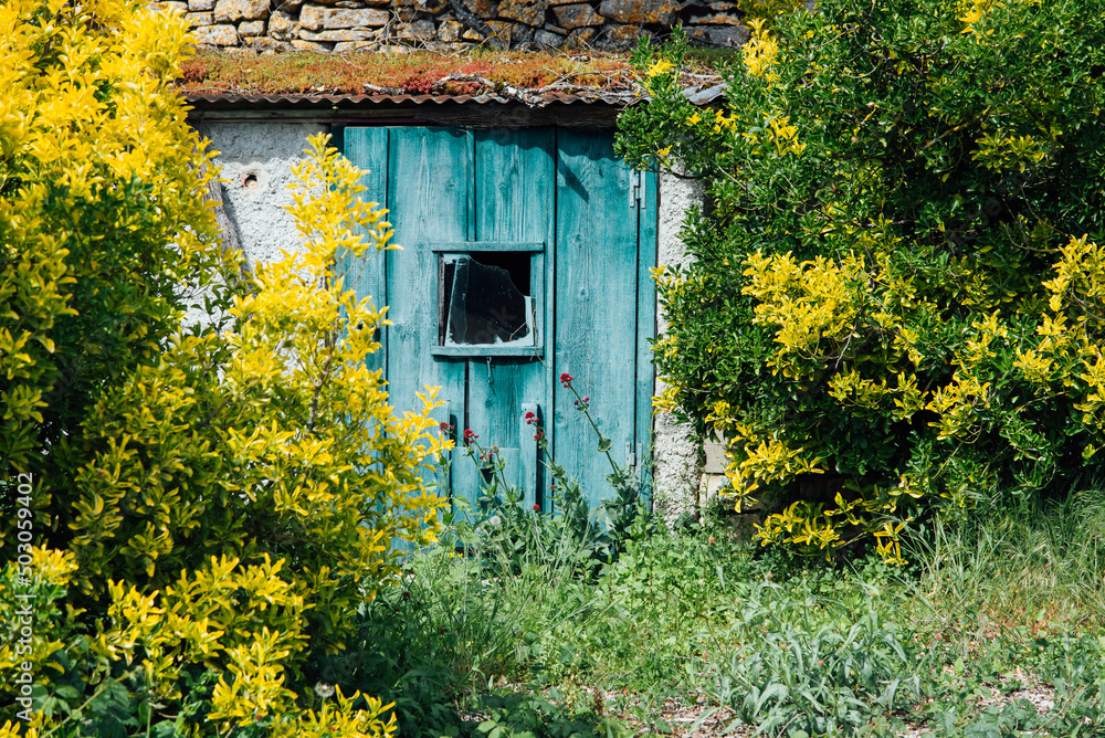 Une vieille cabane en bois dans un jardin. Une vieille porte bleue sur une cabane en bois dans un jardin. Une vieille cabane en bois dans un jardin. Une vieille porte bleue sur une cabane en bois dans un jardin.