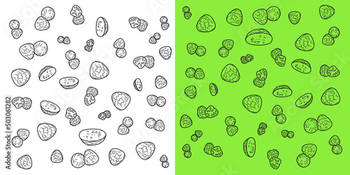 Cherimoya or Custard apple doodles with two backgrounds.