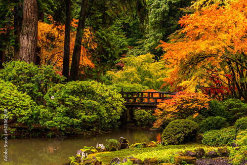 Small wooden bridge on the narrow river surrounded by lush colorful trees in the woods photo