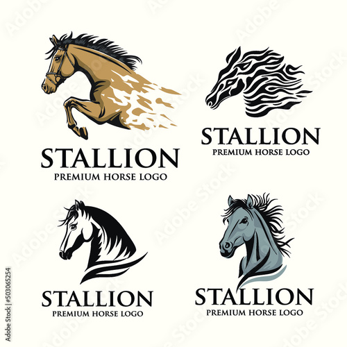 Vector illustration of horse portraits and stallion logos