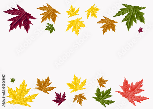 set with autumn leaves  vector illustration
