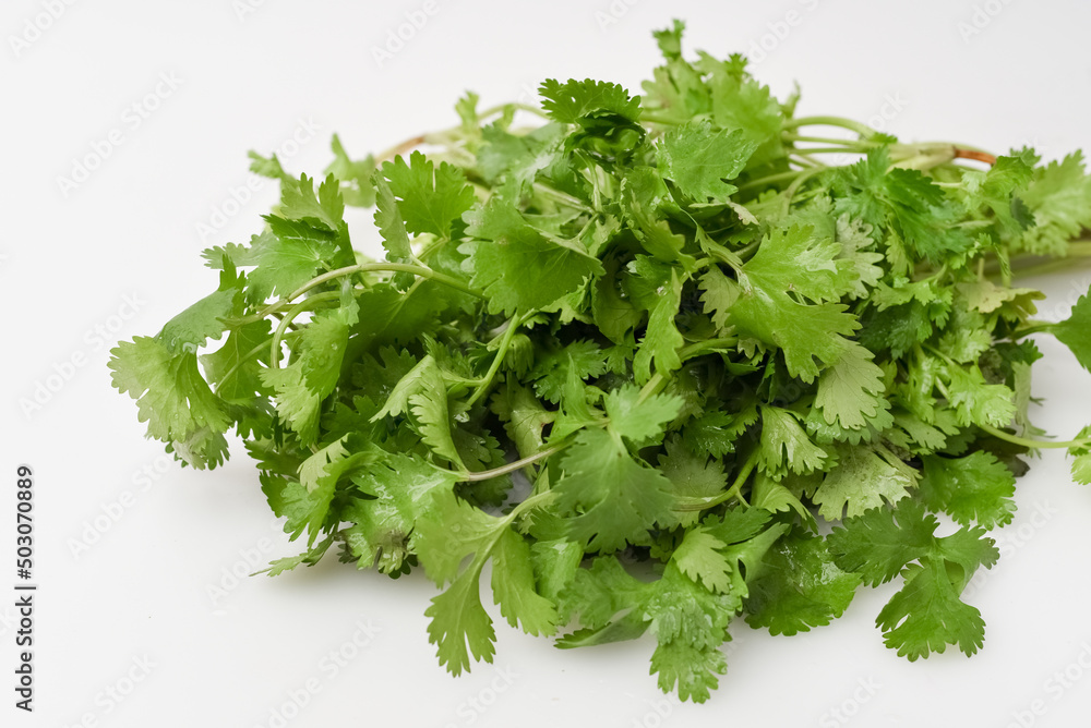 Fresh coriander leaves on white isolated background Fresh coriander leaves on white isolated background