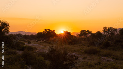 sunset in the Kruger national park