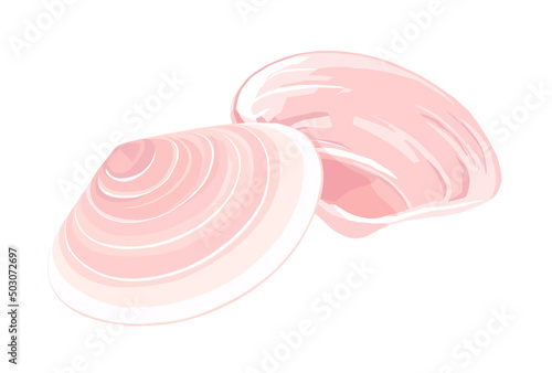 桜貝