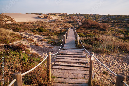 Wooden pedestrian walkway through Sintra-Cascais natural park. Wild sandy landscape  with part of Cresmina Dunes. Beautiful scenery in Portugal.