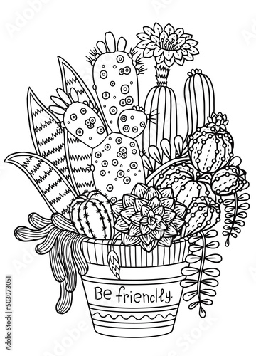 Vector Coloring book page for adult. Hand drawn set of succulents or cacti in pots. Doodles Black and white succulent