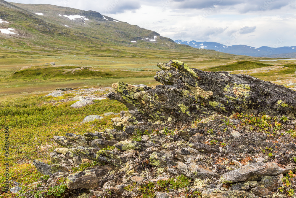 Rock Formation cover with lichens in a hilly landscape view