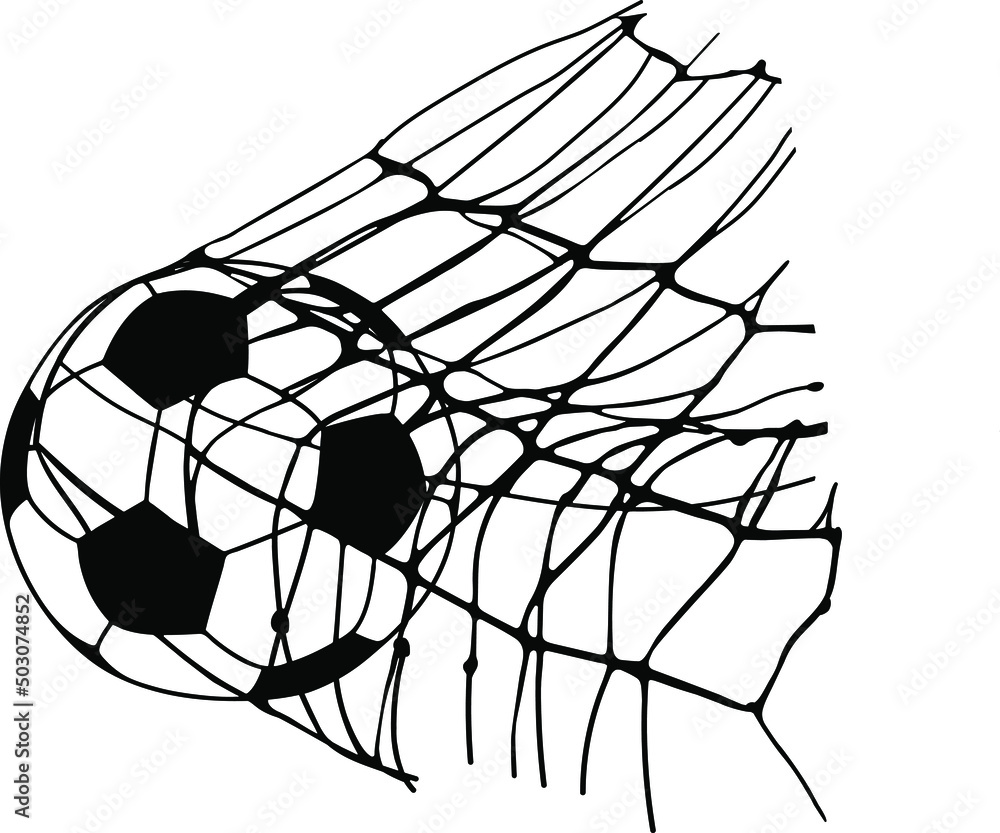 soccer ball flew into the goal net soccer ball flew into the goal net
