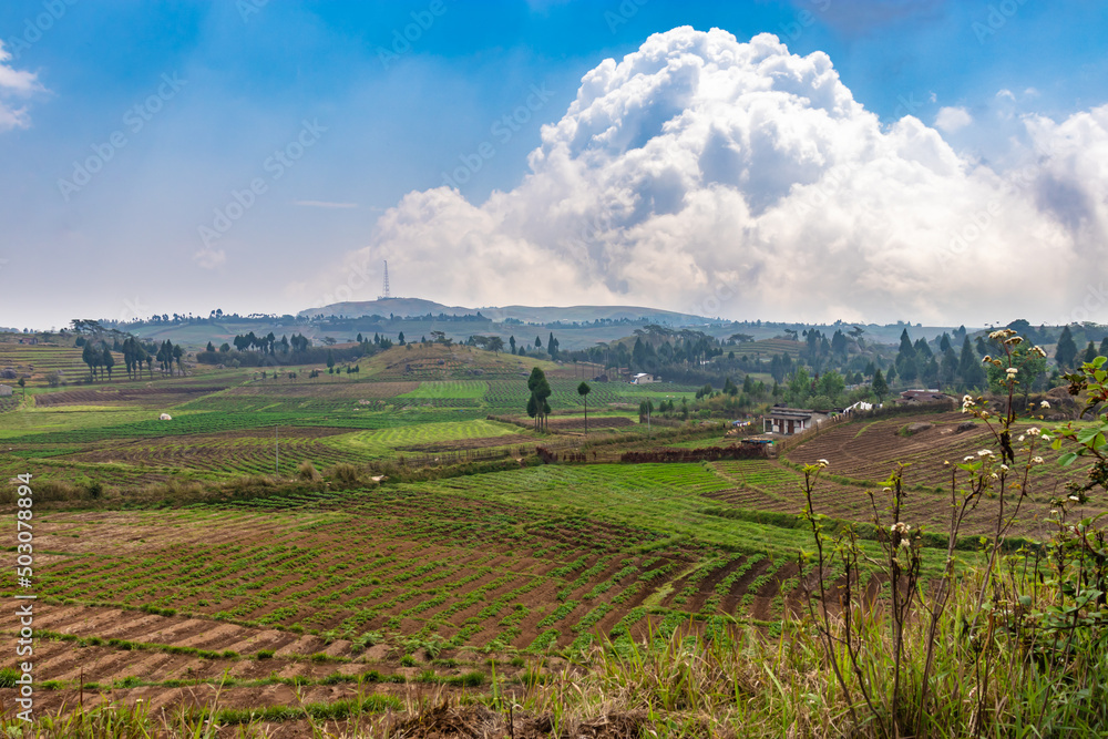 countryside agriculture farming fields with bright blue sky at morning from flat angle