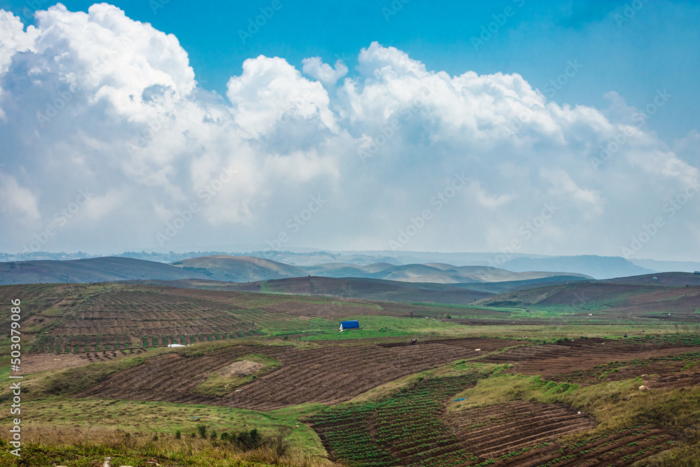Obraz premium mountainside agriculture farming fields with bright blue sky at morning from flat angle