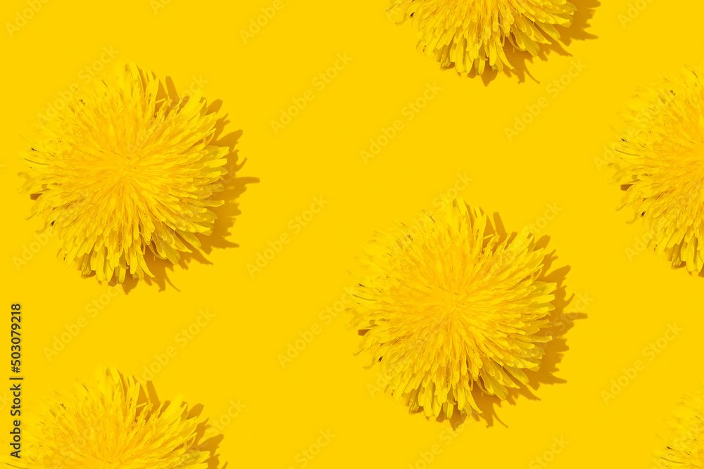 Obraz premium Dandelions on a yellow background pattern.