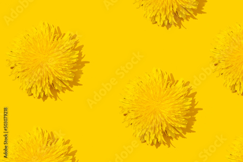 Dandelions on a yellow background pattern.