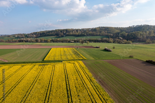 canola field in the country © hecke71