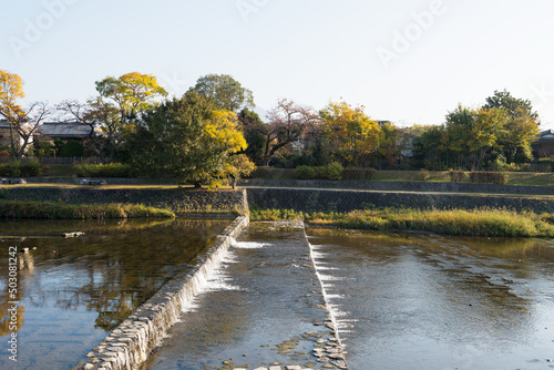 Wallpaper Mural 秋の鴨川 Torontodigital.ca