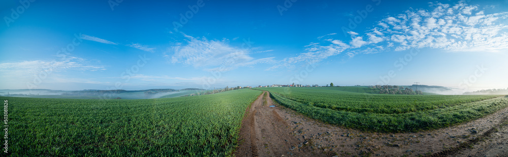 panorama of green field and country road panorama of green field and country road