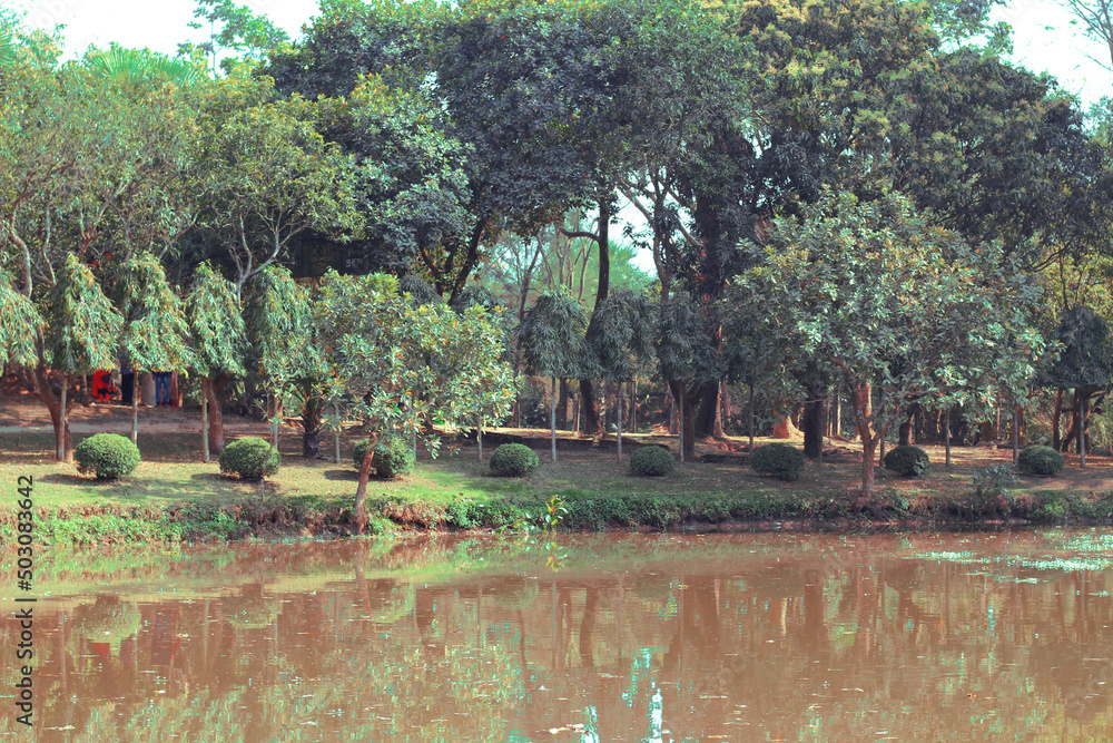 Beautiful nature landscape green forest tree reflect on the water surface. A mesmerizing view of Zinda Park Lake
