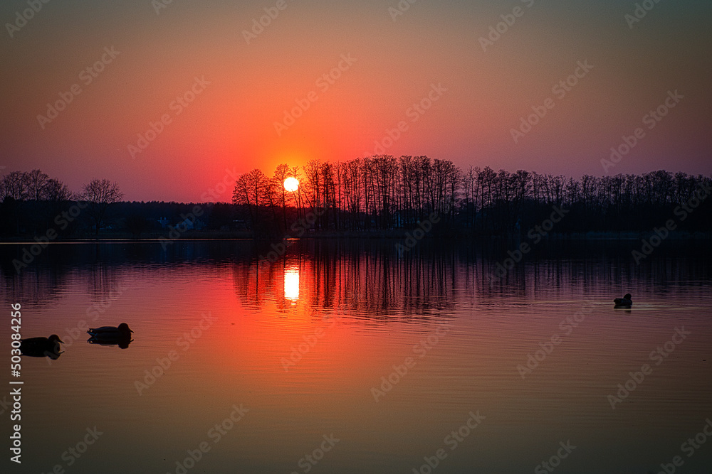 Sonnenuntergang Abendrot Enten - Sunrise over sea - - Zossen - Wünsdorf - Brandenburg - Deutschland - Teltow - Fläming