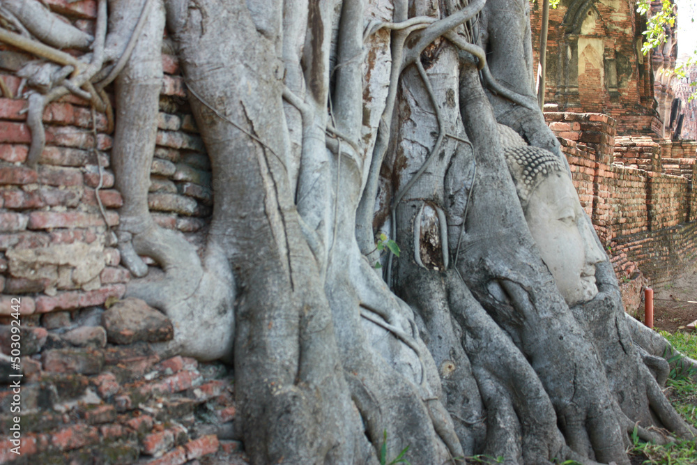 Buddha head in tree roots at Wat Mahathat, Ayutthaya, Thailand, Asia, Vignette and faded effect, blurry background. Buddha head in tree roots at Wat Mahathat, Ayutthaya, Thailand, Asia, Vignette and faded effect, blurry background.
