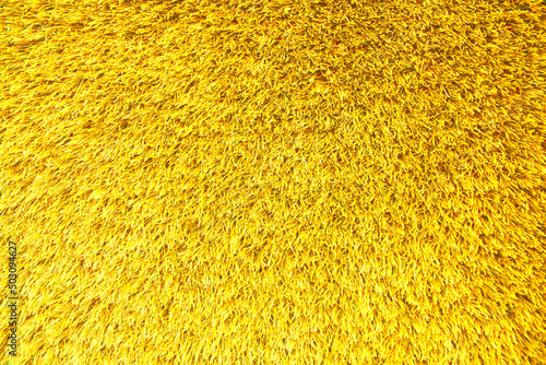 Background of yellow texture of artificial grass cover, seamless background.