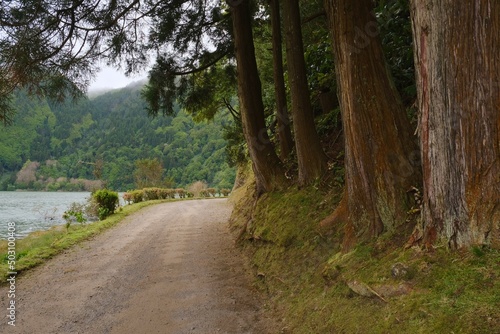 Trees and the road near the mountain lake © Sasha