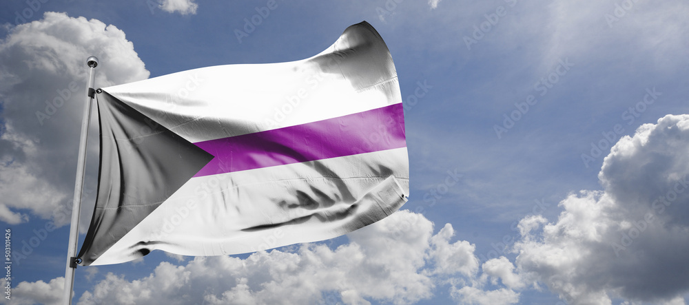 The demisexual flag, in which the black chevron represents asexuality ...