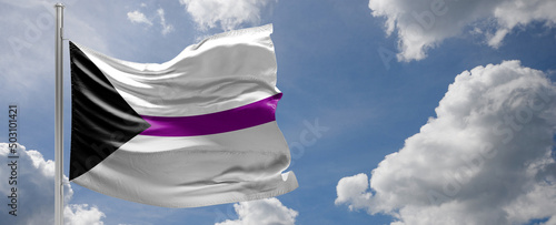 The demisexual flag, in which the black chevron represents asexuality, gray represents gray asexuality and demisexuality, white represents sexuality, and purple represents community photo
