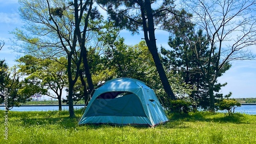 camping in the forest tree day camping camping park riverside sea blue sky reflection blue sky leaf sunny tent 公園 青 青空 木 キャンプ ディキャンプ テント リフレッシュ
