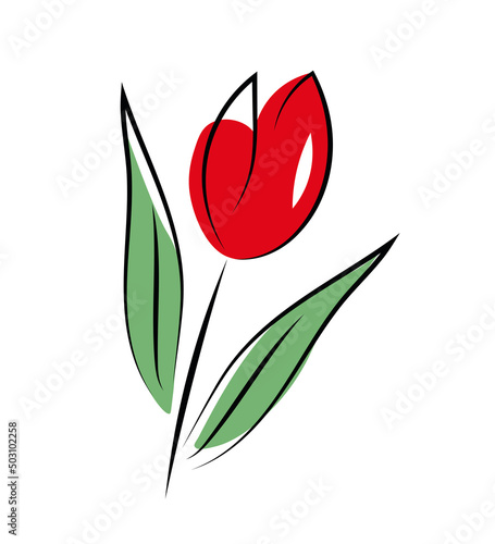 Czerwony tulipan #503102258