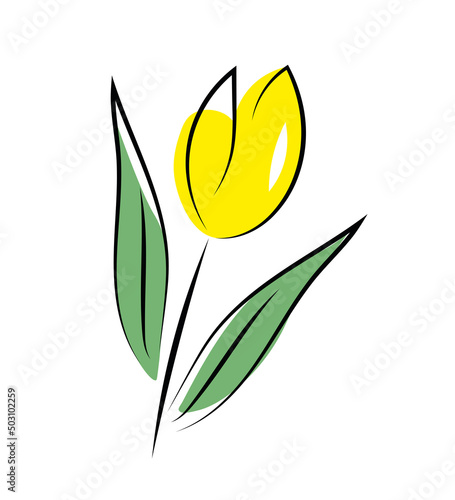 Żółty tulipan