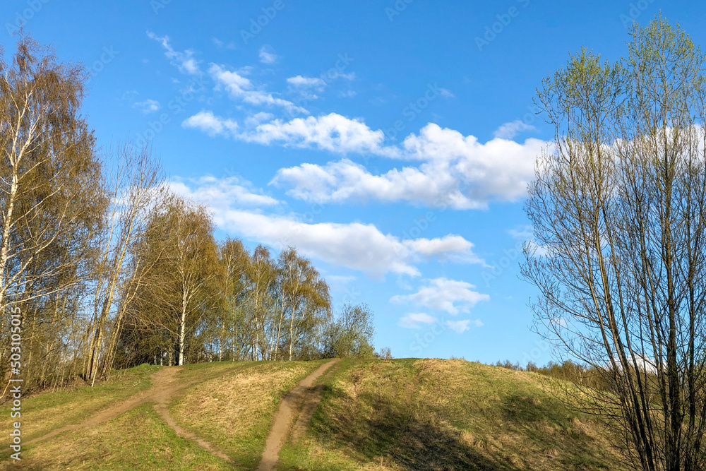 Trees on the hill at sunny day under blue sky with white clouds