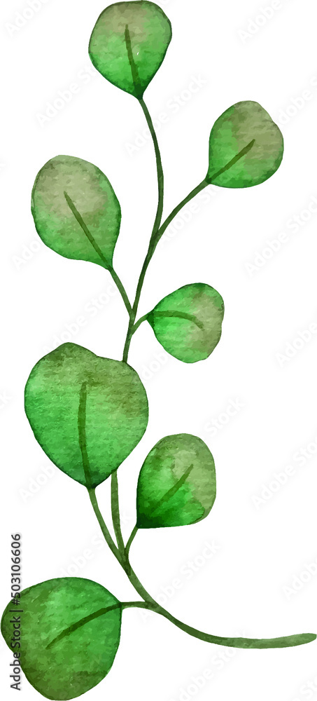 Obraz premium green leaves isolated on white background