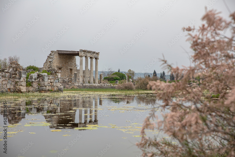 Ruins of big historical theater of Milet Ancient City